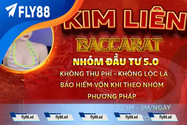 Admin các nhóm kéo Baccarat Admin các nhóm kéo Baccarat